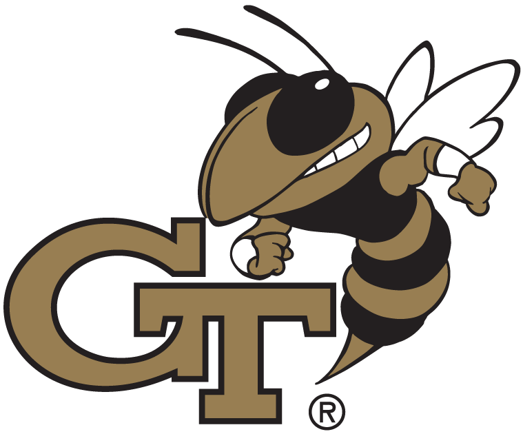 Georgia Tech Yellow Jackets 1991-Pres Alternate Logo diy iron on heat transfer